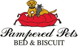 janes pampered pets