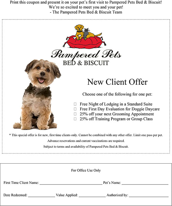 New Client Offer